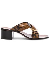 Chloé Rony Python Print Leather Cross Strap Mules - Brown