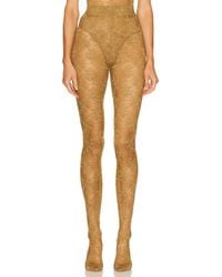 Alex Perry - Lace Stocking - Lyst