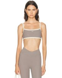 437 - The Micro Bra - Lyst