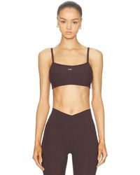 437 - The Micro Bra - Lyst