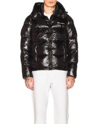 champion puffer jacket black