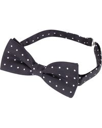 FORZIERI Gebundene Fliege mit Punkten in schwarz & weiss