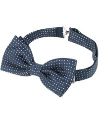 FORZIERI Papillon in Seta Fantasia Micro Pois - Blu