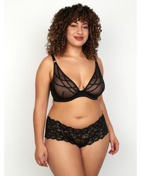 frederick's of hollywood bras