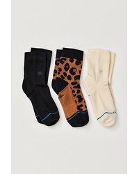 Stance - Animaniac Quarter Socks, Set Of 3 - Lyst