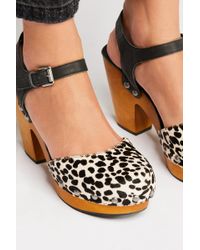 matisse downtown clog