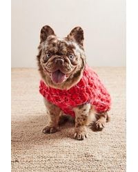 French Knot - Chunky Dog Sweater By - Lyst
