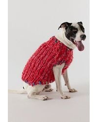 French Knot - Chunky Dog Sweater By - Lyst