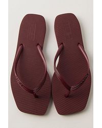 Brizza Arezzo - Going Coastal Flip Flops By - Lyst