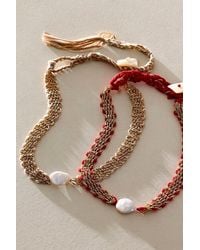 Ariana Ost - Kleio Choker - Lyst