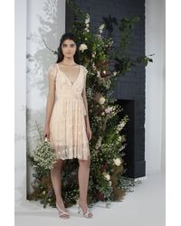 french connection patricia lace dress