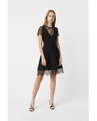 cynthia velvet lace mix dress