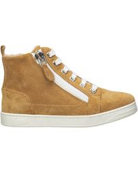 scarpe gucci modello converse