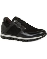 Gabor - Willet Trainers - Lyst