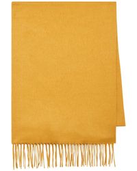 Gabriela Hearst - Blaine Fringe Scarf - Lyst