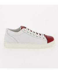 Cuir De Lisse Basses En Multicolore Baskets Veau tsdxrhQC