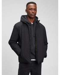 gap winter jackets mens