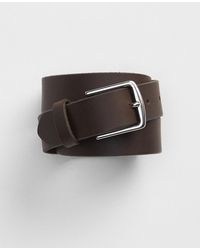gap mens belts