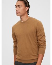 gap mens knitwear