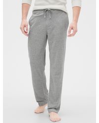 gap gray sweatpants
