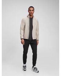 gap harrington jacket