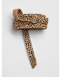 gap leopard belt