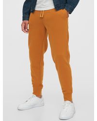 orange sweatpants boys