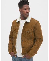 gap fishtail parka