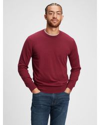 Textured Raglan Crewneck Sweater 