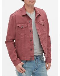 icon denim jacket with gapflex