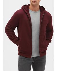 burgundy gap hoodie