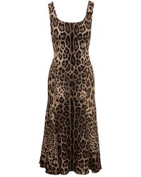 Dolce & Gabbana - Mini Brown Dress With All-over Leo Print In Stretch Viscose Woman - Lyst