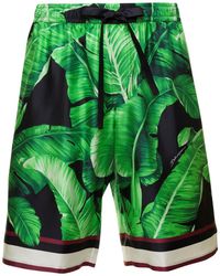 Dolce & Gabbana - Bermuda Shorts With All-Over Leaf Print - Lyst