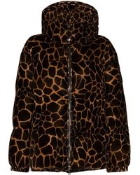 Moncler Piumino Kundogi - Nero