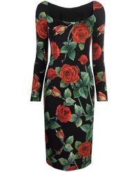 Dolce & Gabbana Scoop-neck Rose-print Dress - Black