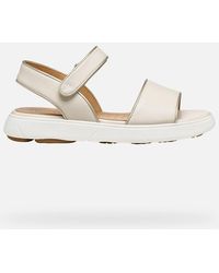 Geox - Nebula 2.0 C S - Lyst