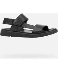 Geox - Scarpe Xand 2S Uomo - Lyst