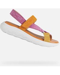 Zapatos planos de Geox para mujer | FASHIOLA.es