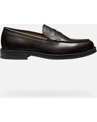 Geox - Medos - Lyst