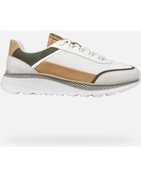 Geox - Spherica Actif X1 - Lyst