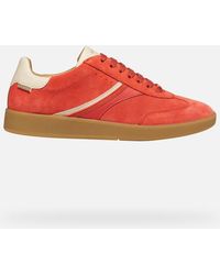 Geox - Meleda - Lyst