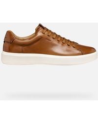 Geox - Velletri - Lyst