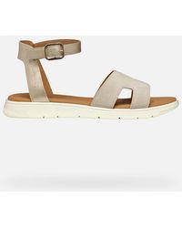 Geox - Dandra - Lyst