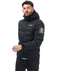 timberland padded jacket