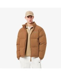 Lacoste - Puf Jacket - Lyst