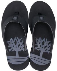 timberland flip flops mens uk