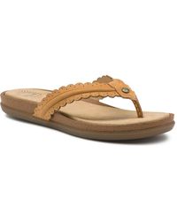 bass leather flip flops