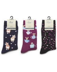 Forever 21 Cotton Dog Print Ankle Sock Set 5 Pack In Gray