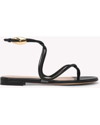 Gianvito Rossi - Jungle Mamba Flat, Schwarz - Lyst