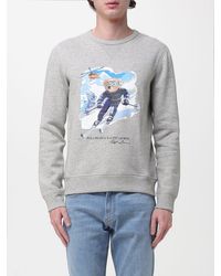 Polo Ralph Lauren - Cotton Crew Neck Sweatshirt With Bear Print - Lyst